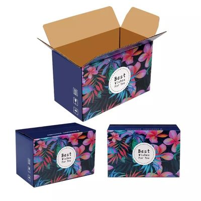 5 Katlı Sert Karton Meyve Paketleme Kutuları Oluklu Meyve Karton Kutu