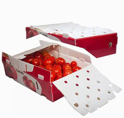 Sebze Meyve Paketleme Kutuları Oluklu Plastik Statik Koruyucu