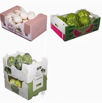 Sebze Meyve Paketleme Kutuları Oluklu Plastik Statik Koruyucu